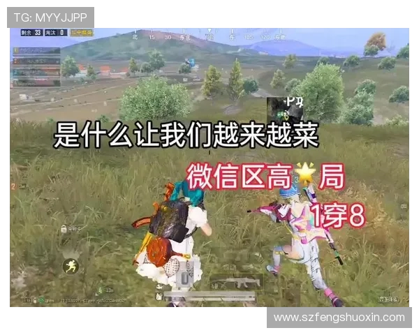 和平精英战术分析：WE战队的技术策略与实战应用探讨