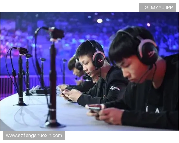 团队协作在王者荣耀中的重要性与LNG战队的成功经验探讨