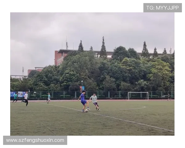 成都足球队整体压制战术解析与实践探讨