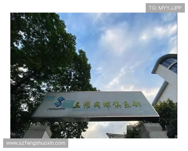 杭州网球队意识探讨：提升团队协作与竞技水平的新思路