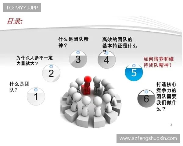 武汉网球队挑战赛点评:个人能力展现与团队协作的完美结合 武汉网球队挑战赛点评:个人能力展现与团队协作的完美结合