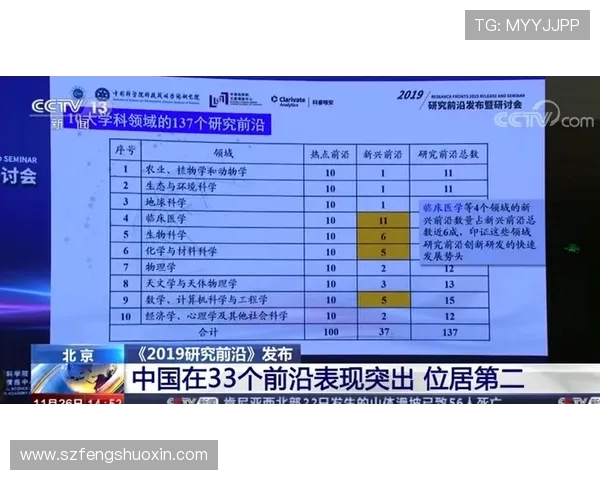 深圳飞盘队员个人能力分析与表现评估研究报告