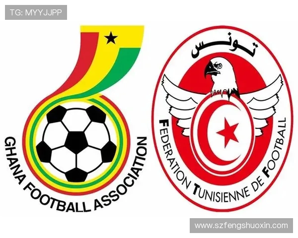 加纳与突尼斯足球对决精彩回顾与战术分析