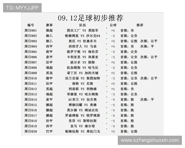 尼斯与南特最新比赛数据分析及战绩对比