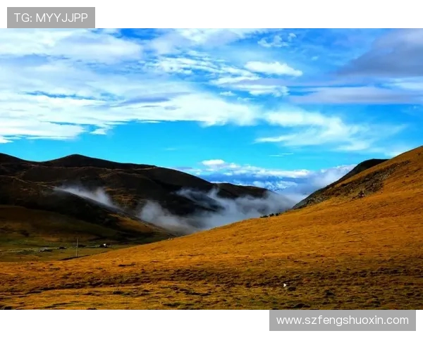 崔永熙的艺术之路与人生哲学探讨:从初心到巅峰的心灵旅程